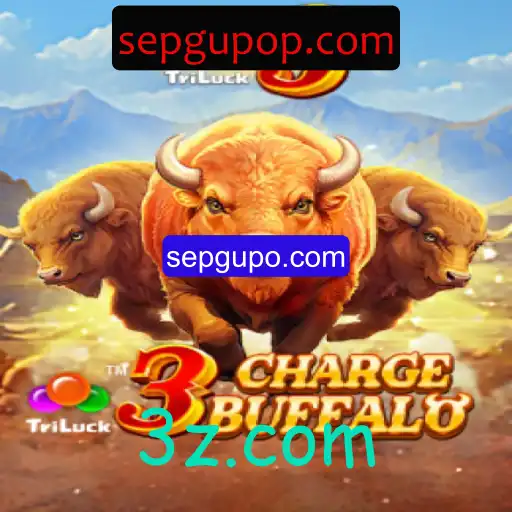 Explorando o Mundo de 3ChargeBuffalo