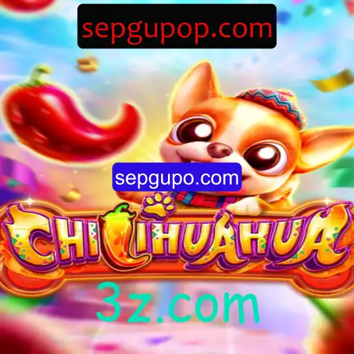 Descubra o Fascinante Mundo de CHILIHUAHUA